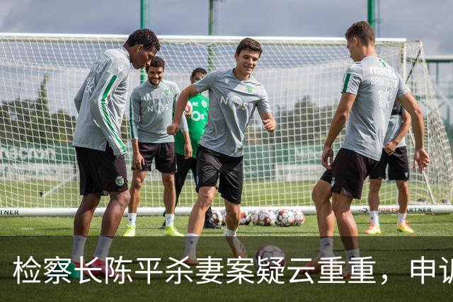 检察长陈平杀妻案疑云重重，申诉无果被枪决，保密行刑后迅速火化